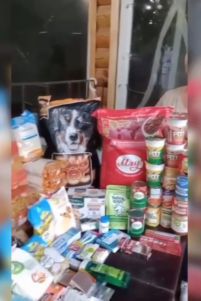 Допомога тваринкам на утриманні